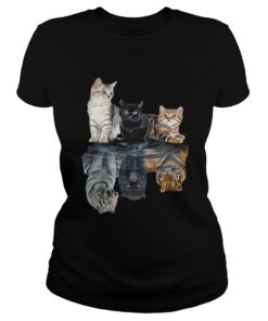 Cats reflection tigers shirt 1
