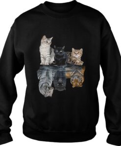 Cats reflection tigers shirt 3