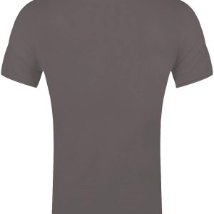 Foo Fighters Matter Of Time Mens Grey T Shirt 2