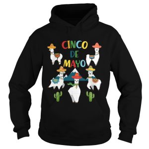 Funny Cinco De Mayo Llama Men Women T-shirt