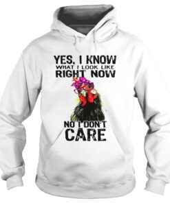 Hen yes I know what I look like right now no I don't care shirt 2