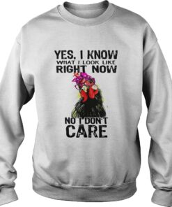Hen yes I know what I look like right now no I don't care shirt 3