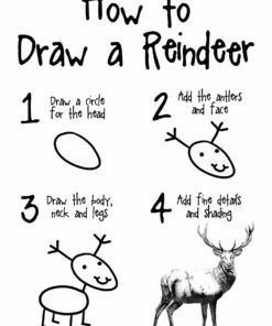 How To Draw A Reindeer Men's White T-Shirt 2 How To Draw A Reindeer Mens White T Shirt 3