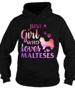 Just A Girl Who Loves Maltese Colorful Gift Shirt 2