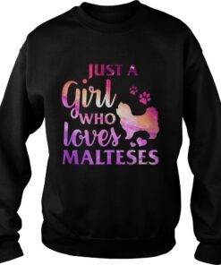 Just A Girl Who Loves Maltese Colorful Gift Shirt 3