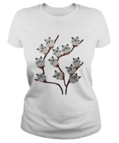 Kitten cats pussy willow flowers shirt 1