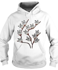 Kitten cats pussy willow flowers shirt 2