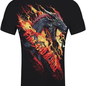 Spiral Game of Thrones Fire and Blood Mens Black T Shirt 2