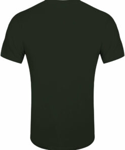 The Nintendo Legend Of Zelda Link Pose Mens Green T Shirt 2