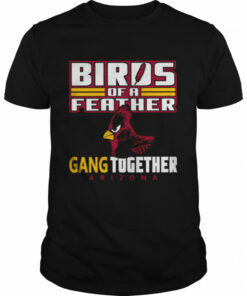 Bird Of A Feather Arizona Football Proud Fan Feather Gang shirt 1