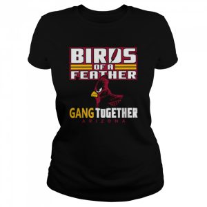 Bird Of A Feather Arizona Football Proud Fan Feather Gang shirt