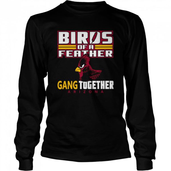 Bird Of A Feather Arizona Football Proud Fan Feather Gang shirt