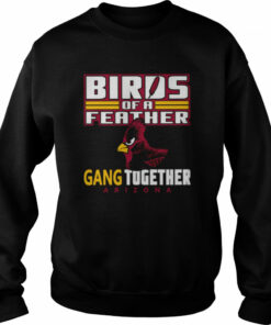 Bird Of A Feather Arizona Football Proud Fan Feather Gang shirt 3 Bird Of A Feather Arizona Football Proud Fan Feather Gang shirt 4