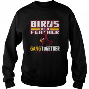 Bird Of A Feather Arizona Football Proud Fan Feather Gang shirt 4