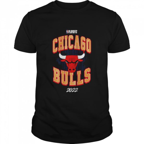 Chicago Bulls 2022 NBA Playoffs Hype T shirt