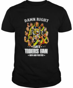 Damn right i am a Tigers fan now and forever shirt 1