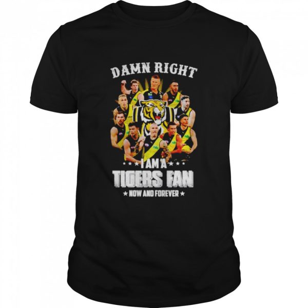 Damn right i am a Tigers fan now and forever shirt