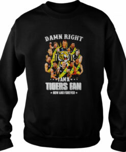 Damn right i am a Tigers fan now and forever shirt 4