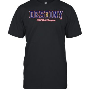 Nice destiny 2021 World Champions Atlanta Braves shirt