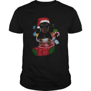 Dachshund in sock Christmas shirt