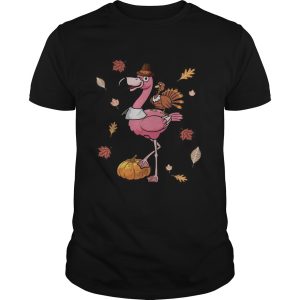 Flamingo and chicken turkey pumpkin shirt