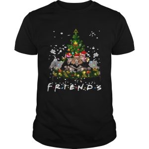 Friends Harry Potter Hermione Ron Christmas shirt