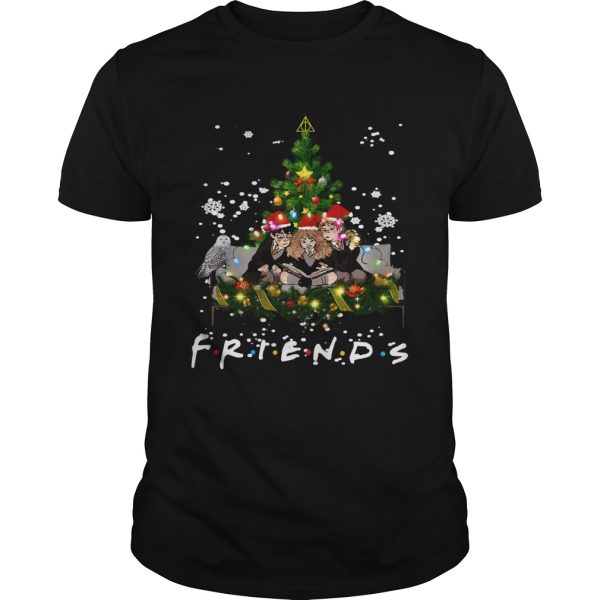 Friends Harry Potter Hermione Ron Christmas shirt