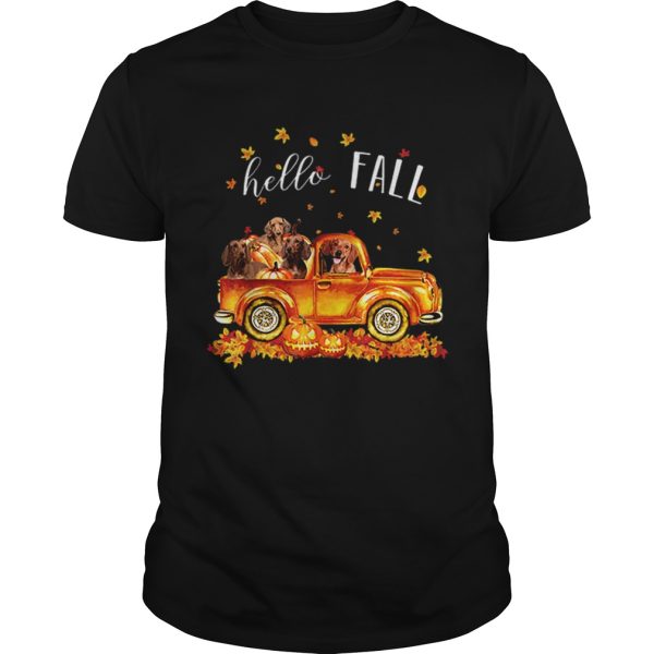 Halloween Hello Fall Dachshund shirt