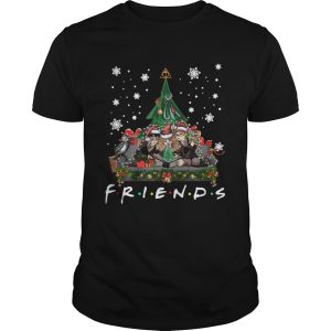 Harry Potter Hermione And Ron Weasley Christmas Tree style Friends tv show shirt