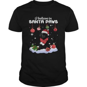 I believe in Santa Paws Christmas shirt