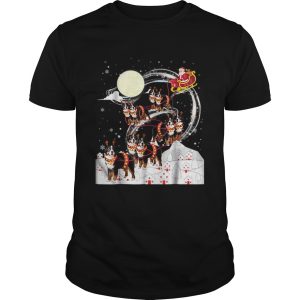 Nice Bernese Mountain Dog Reindeer Christmas 2018 Dog shirt