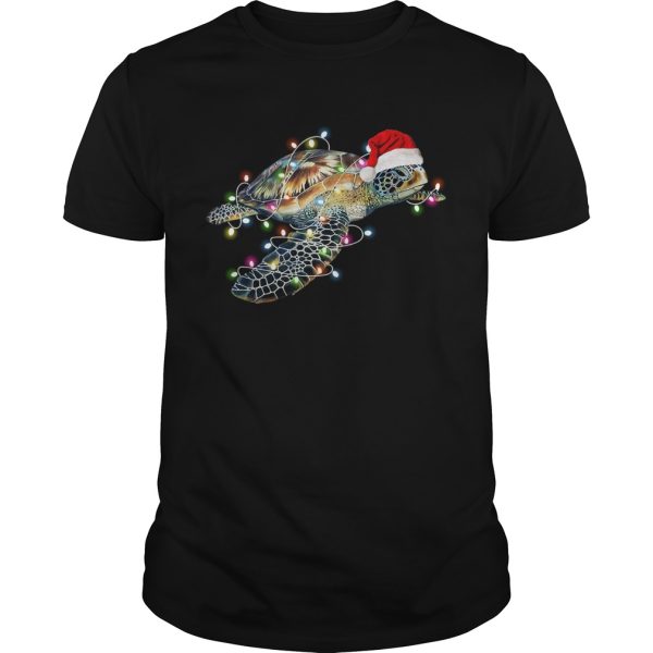 Turtle with Chirstmas hat and light shirt