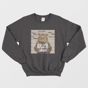 BTS Suga Meow Meow Min Yoongi I Rap At Night Sweatshirt 1