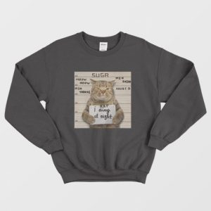 BTS Suga Meow Meow Min Yoongi I Rap At Night Sweatshirt 3