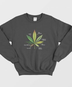 Cannabis Leaf Infographics Sweatshirt 1