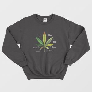 Cannabis Leaf Infographics Sweatshirt