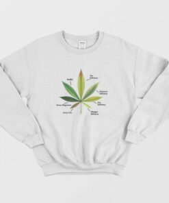 Cannabis Leaf Infographics Sweatshirt 2