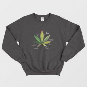 Cannabis Leaf Infographics Sweatshirt 3