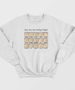 Cat How Are You Feeling Today Sweatshirt 1