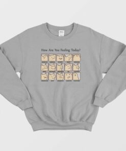 Cat How Are You Feeling Today Sweatshirt 3