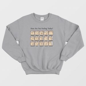 Cat How Are You Feeling Today Sweatshirt 3