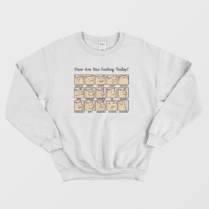 Cat How Are You Feeling Today Sweatshirt 4