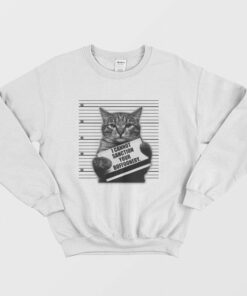 Cat I Cannot Sanction Your Buffoonery Sweatshirt 2