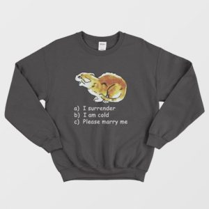 Cat I Surrender I Am Cold Please Marry Me Sweatshirt 3