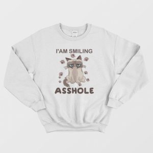 I am a cat on sale sweatshirt