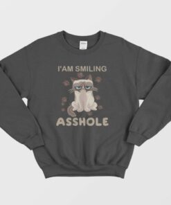 Cat I'am Smiling Asshole Sweatshirt 2 Cat Iam Smiling Asshole Sweatshirt 3