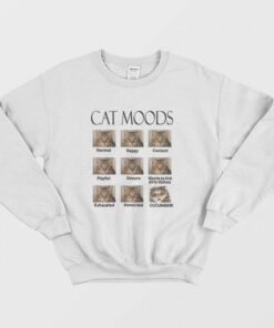 Cat Moods Funny Meme Sweatshirt 2