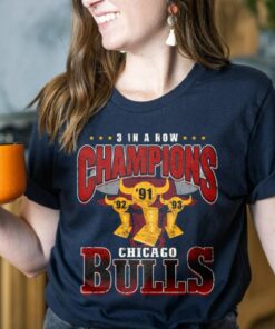 Chicago Bulls Basic Team Logo Vintage Championship Sweatshirt 2