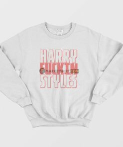 Harry Fuckin Styles Sweatshirt 2