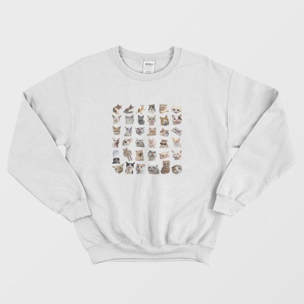 Hilarious Cat Meme Sweatshirt